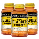 Mason Natural Daily Bladder Comfort, 30, Day Suply, dengan Kalsium, Pumpkin Seed, dan Soy Germ untuk mendukung Fungsi Bladder Normal, 60 Kapsul (Paket 3)