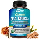 NutriFlair Organic Sea Moss 1600mg, 120 Capsules Plus Bladderwrack & Burdock - Prebiotic Super Food - Imune System & Digetical Health - Thyroid, Healthy Skin, Keto Detox, Gut