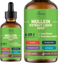 4-in-1 Mullein Drops for Lungs, Organic Mullein Leaf & Honeysuckle & Eucalyptus Leaf & Echinacea Extrates, untuk Lung Cleanse, Imune & Respiratory Dukung, Sugar- Free 124; Non-GMO 124; Vegan, 2 Fl oz