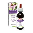 Natualma Echinacea (Echinacea angusstifolia dan purpurea) Root dan ramuan Alcohol- Free Tincture - 4 fl oz Liquid Extract in Drops - Herbal Supplemen - Vegan