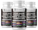 Lions Mane Suppplement Cognitive Support, Ammune Health with Turkey Tail 20in1 Mushroom Reishi Cordyceps Chaga with Marshmallow Root -180 Count