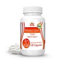 Premium Mastic Gum Kapsul - Suplemen Dukungan Gastrointestinal Alam, 100mg Per Serving - 120 Capsules (1 Botol)