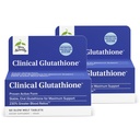 Terry Course Clinical Glutathione - Antioksidant for High Absorpsi - Dieter Suplemen dengan L- Glutathione - Vegan Suplemen untuk Mendukung Sel Kesehatan - 60 Slow Melt Tablet (Paket 2)