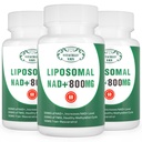 NAD + Supplemen Lipomal NAD + Plus 800MG Nicotinamide Alternatif untuk Energi Sel, Penuaan Kesehatan dan Perbaikan Otot 180 Kapsul (Paket 3)