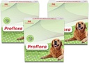Probiotik untuk Anjing - Divalle Sehat - Boost Immune System