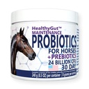 Produksi HealthyGut ™ untuk Tambahan Dieter Kuda, All- Natural Digetical System Maintenance Formula (30 Hari)