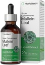 Horbäach Mullein Leaf Extract Drops 12.4; 2 ifl oz 124; Alkohol Liquid Tincture 124; Vegetarian, Non-GMO & Gluten Free Herbal Suplemen
