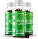 Vitamatic 3 Pack Irish Moss Gummies - 3000mg Equalovalen Per Serving (dari Ekstrak 13,5 mg) - 60 Ct - Dibuat dengan Bladderwrack & Burdock Root - Suplemen Seamoss untuk Thyroid, Energy, Imune Support