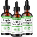 Liquidhealth Liquid Chlorophyll Drops - Internal Deodorizer, Antioksidants, Liver Detox, Imune Dupport, Relieve Bad Breath, Reduce Appetite, Collagen for Hair & Skin Health - Vegan, Non-GMO (3 Pack)