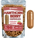 Hawthorn Berry Powder Capsules - 360 Count (6 Bulan Suply) - Premium Hawthorn Berry Capsules untuk Dukungan Cardiovascular - Hawthorne Berry Powder - Sebuah Ideal Hawthorne Suplemen untuk Pria dan Perempuan