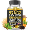 Sea Moss, Black Seed Oil, Ashwagandha, Ginger, Shilajit Gummies dengan Elderberry, Chlorophill, Turmeriic Bladdercrack Sea Moss Gummies Advanced Formula - All in 1 Bundle