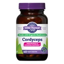 Cordyceps Organic Mushroom Herbal Oregon (Freeze-Died): Endurance dan Stamina Dupport, 60 Count