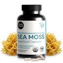 Atlantic Moss Capsules Laut dengan Moringa, Ashwagandha, Minyak Benih Hitam, Ginger & Ginseng - Penyesuaian Massa Laut Atlantik untuk Pria dan Wanita - untuk Energi Harian & Wellness Blend - 120 Count