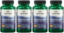 Swanson Maximum Power Graminex Flower Pollen Extract - Mendukung Prostate Health, Urinary Trakt, dan Ginny Health Suplemen - 60 Capsules, Masing-masing) (4 Pack)