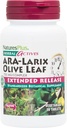 NaturresPlus Herbal Actives AARA Larix Olive Leaf - 30 Tablet - Imune Dukungan Suplemen, Extended Rilis Botanical - Vegetarian, Gluten Free - 30 Hamba