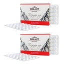 Altai Shilajit 120 Tablets Mountain Balsam Label - Altai Siberia asli 100% Pure Fulvic Acid dan Trace Minemency