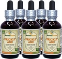 Prickly Ash (Zanthoxylum Clava-herculis) Taincture, Dry Bark Liquid Extract (Nama Merek: HerbalTerra, Proughtly Made in USA) 5x2 f.oz (5x60 ml)