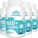 Lipomal NAD + Supplement 1000 mg 124; Tertinggi NAD Pontec 124; Max Absorpsi 124; Pure NAD Suplemen; Energy and DNA Repair, Aging Pertahanan, Fungsi Otak 124; 240 Softgeels
