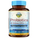 Terranics Probiletik 60 Milyar CFU, 20 Strain, 60 Veg Capsules, Prepotik & Probiotic Shelf Stable Probiotic Suplemen Pria & Women, Digestrive & Imune Kesehatan, Non-GMO, NO Soy, Dairy & Gluten