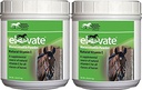 Kentucky Performance Products 2 Pack of Elevate Maintenance Power, 2 Pounds Setiap, Natural Vitamin E Horse Suplemen