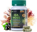 Sea Moss Capsules - 16-1 Sea Moss Suplemen dengan Bladderwrack, Burdock Root, Black Eed Oil, Ashwagandha - Imune Dukungan & Energy Booster - 60 Vegan Capsules (19445mg)