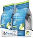 NormaLyte Oral Rehydration Salts -2 Pouches - 60 Sticks (Yields 500mL per Pack) -Apple Application 124; Energy Supplemen Poterial, Recovery Dehidtion and Quick Absorpsi
