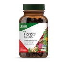 Floradix Iron + Herbs - Iron Supplemen Energi Sehat * - Mendukung Formasi Sel Darah Merah - Vegan, Non-GMO, Gluten- Bebas, Soy- Bebas - 120 Liquid Phyto- Caps