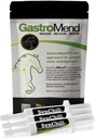 SynChill 3 Pack + GastroMend Bundle for Horses - Comprehensive Health & Behavioral Support, Aids in Gastric Ulcer Relief, Promotes Calstice & Focus, All Natural, Cost Efektif