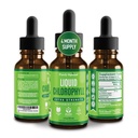 Premium Chlorofil Liquid Drops - 100% Natural & Gluten Free Liquid Chlorofil - Non GMO, 118 Servings