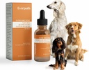 Dukungan Respiratory Everpath bagi Dogs - 2 Fluid Ounces / 60mls 124; Dibuat di Amerika Serikat 124; Boosts Imune Dukungan & Heally Breathing 124; Enhances Repiratory Fungsi 124; Solusi Alam untuk Pets
