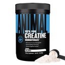 Hewan Creatine Monohydrate Powder - Micronized Creatine for Women and Men, Support Muscle Growth, Power, Endurance, Recovery dan ATP Produksi, Gym & Workout Suplemen - Tanpa rasa, 500g