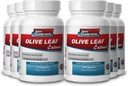 Sport Suplemen Olive Leaf Extract Powerful Antioksidant, Immune System Health 500mg (6 Botol, 360 Kapsul)