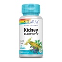 PLLIARAY Kidney Blend Sp-6 GMO, Herbal Blend w / Cell Salt Nutrients untuk Mendukung Fungsi Healthy Ginney 124; Non-GMO, Vegan (1 Pack)