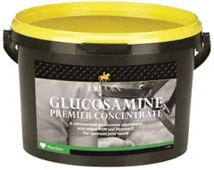 Lincoln Glucosamin Premium Konsentrasikan Tambahan Kuda - 600g (Kesehatan optimal dalam sendi dan tulang rawan)