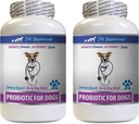 Restorasi Anjing Gut - PROBIOTICS for Dogs - Sehat Gut - Stop Gas Diare and Bad Breath - Digetical Boost - Progories Anjing - 2 Botol (120 Treats)