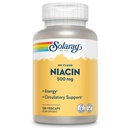 SOLARAY No Flush Niasin 500mg, Flush- Free Vitamin B3, Energy and Circulation System Support, Vegan, Lab Verified, 60-Day Money-Back Garansi, 100 Servings, 100 VevCaps