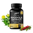 Rhodiola Rosea Suplemen Tinggi Potency Extract 500mg - 3% Rosavins 1% Salidrosides dengan Ashwagandha Shisandra Passion Flower Herb Pounder Capsules - Natural Way to Relieve Stress - Pills for Energy