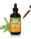 Herb Pharm Chanca Piedra Cair Ekstrak untuk Dukungan Sistem Uriner - 4 Ounce