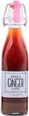 Obat Jahe Annie, 17oz 1-Pack, Pure Natural Organic Tonic Ginger Shot, Digetical Cleanse Boosts Ammune Defense, Daily Gut Health and Wellness, None-GMO Beverage