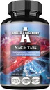 APollo 'S HEGEMONY NAC + 150 mg - N- Acetyl L- Cysteine dan Artichoke Extract, 300 Bible Vegan, 1200 Servings, Amino Acid Dietary Supplemen, Support Detox and Liver Health