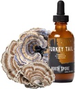 Tail Organik Utara Tail Organik Talure --- 124; Mushroom Suplement for Immune Wellness, 124; Terbukti bahwa Potensi 124; Tramet Versicolor Extract 124; Vegan, Non-GMO - 2oz