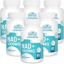 Lipomal NAD + Supplement 1000 mg 124; Tertinggi NAD Pontec 124; Max Absorpsi 124; Pure NAD Supplemen; Energy and DNA Repair, Aging Pertahanan, Fungsi Otak 124; 360 Softgels