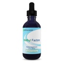 Nutra Biogenesis Metyl Factors - Vitamin B12 Drops, Methylfolat Drops, Sublingual Liquid for Women & Men, B Complex with Folic Acid for Kid & Dewasa, Energy Suplemen, Sugar Free - 2 Fl Oz