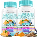 10 -in- 1 Imune Dukungan dengan Elderberry, D3, Selenium, Quercetin, Zinc, Vitamin C, Ginger, Turmeric Curcumin, B6, Echinacea - Pertahanan Immune - Dibuat di AS (60 Count (Paket 2)
