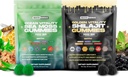 Holistik Hercules Moss & Pure Himalaya Shilajit Gummies Gold 124; 100% Natural Organic Vegan 124; No Added Sugar 14; Ashwagandha Tongkat Ali Ginseng Spirulina Moringa Honey Manuka 124; 60 Gummi 2 Pack