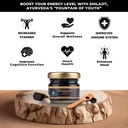 Vedapure Hilayan Shilajit Resin 100% Pure Shilajit dengan Fulvic Acid & 85 + Trace Mineware Complex for Energy & Imune Dupport, 15 Grams