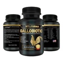 Gallobiotic Natural Multivitamin untuk Rooster, Hen - 100 Tablet 12.4; Vitamin Completas para Gallos