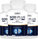 Superoksida Dismutase Suplemen 500mg - SOD Plus dengan Lipomal Glutathione, AKG, Green Tea Extract, L-Arginine, Lysine, Resveratrol dan Vitamin E untuk Dukungan Imune, Antioksidant 180 Capsules