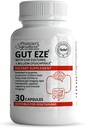 Rawleigh Gut Eze: 30 Kapsules, Probiotik Vegetarian harian untuk Pria & Perempuan, 1 Milyar CFU / Cap, Mikrobio- Berdasarkan, SCFA Produksi + Gut, Digetives, Imunitas, Appetite & Lipid Dukungan, Non-GMO