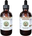 Echinacea Alcohol- Free Liquid Extract, Echinacea (Echinacea Angustifolia) Root Kering Glycerite Hawaii Pharm Natural Herbal Supplemen 2x4 oz